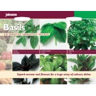Basils 6 Variety Pack 